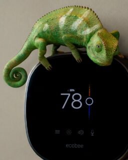 Check out our latest work on the CPS Energy project 🦎. 

We were thrilled to collaborate with @tomigaworks on this project. Special thanks goes to Tony Gallardo and Julian Lopez.

#vfxstudio #vfxbreakdown #vfxnews #vfxworld #vfxartist #vfxguru #vfxlife #spectravfx #vfxsupervisor #vfxanimation #vfxpro #vfxjobs #vfxeditor #vfxcompositing #vfxartists #movieeffectsvfx #makingmovie #vfx #vfxexpress #visualeffects #cgi #vfxreel #vfxshowreel #3d #vfxvideo #animation #cg #makingofmovies #3djobs #postproduction